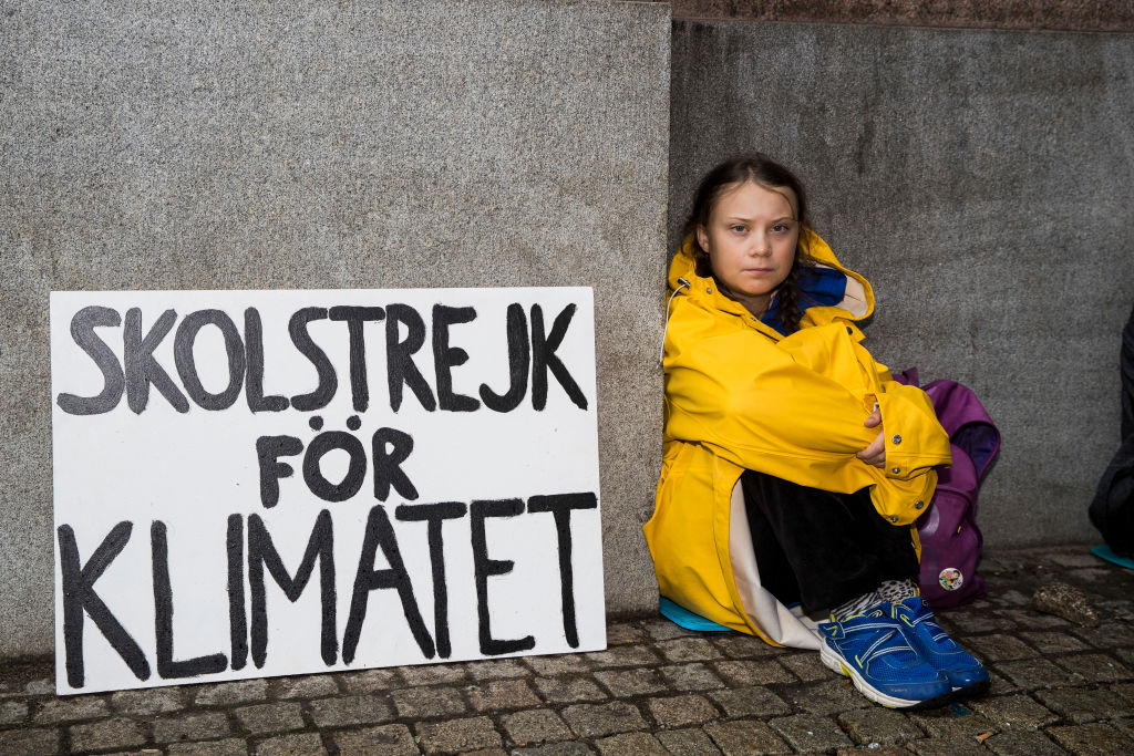 Greta Thunberg a svéd parlament előtt 2018 augusztusában. 
