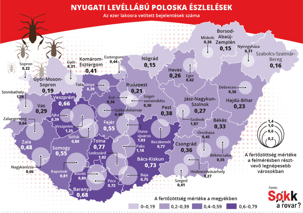 Magyarország poloskatérképe