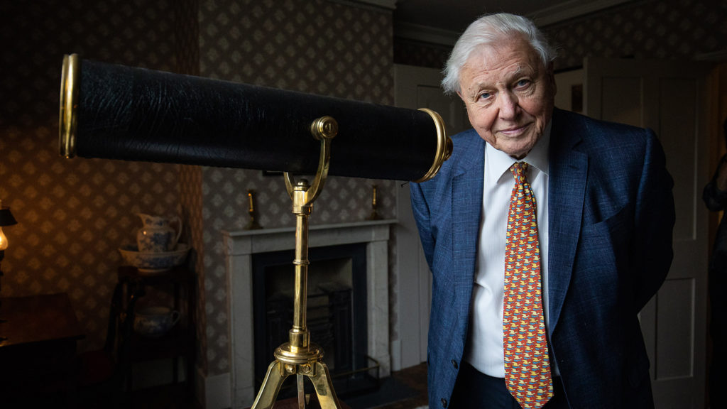 David Attenborough-val és a tokiói olimpiával indul a discovery+