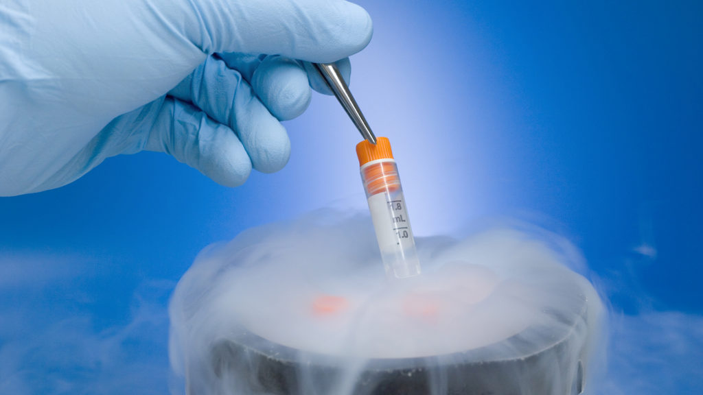27 év fagyasztás után született meg egy embrió