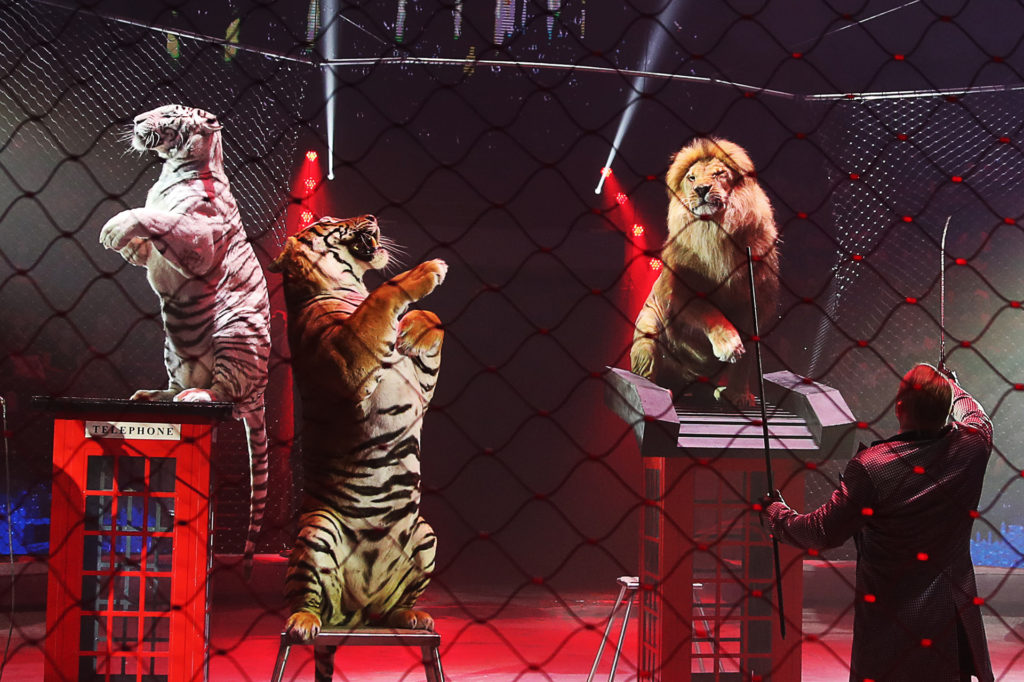 Franciaországban már tilos a vadállatok cirkuszi tartása