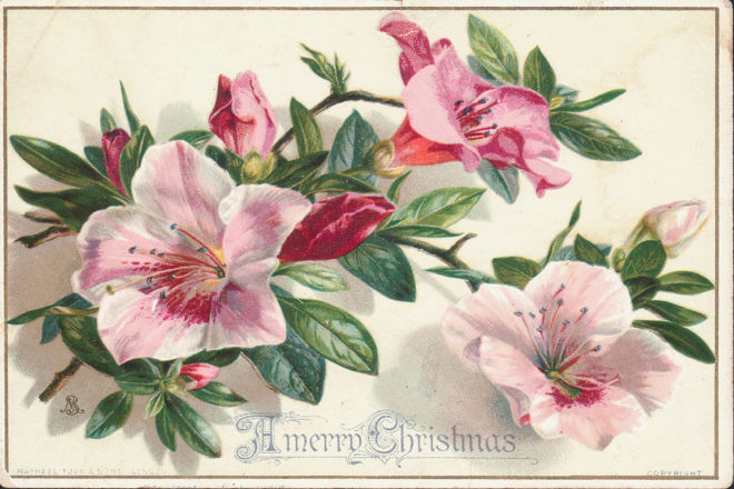 Karácsonyi képeslapok: a kezdetek