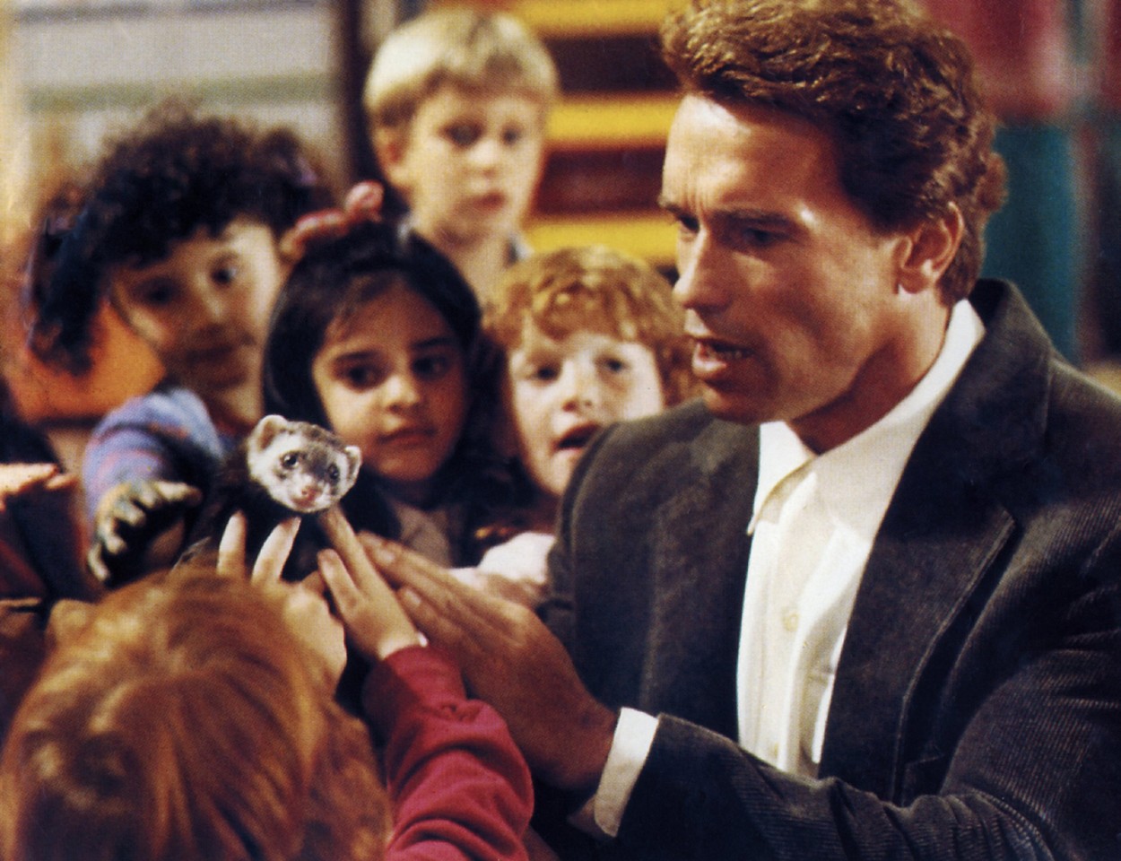 Schwarzenegger és a menyét (fotó: Profimédia)