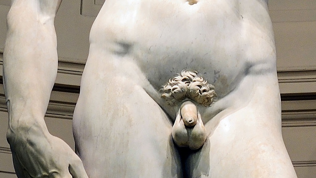 A művészettörténet talán legismertebb pénisze (fotó: Wikipedia)