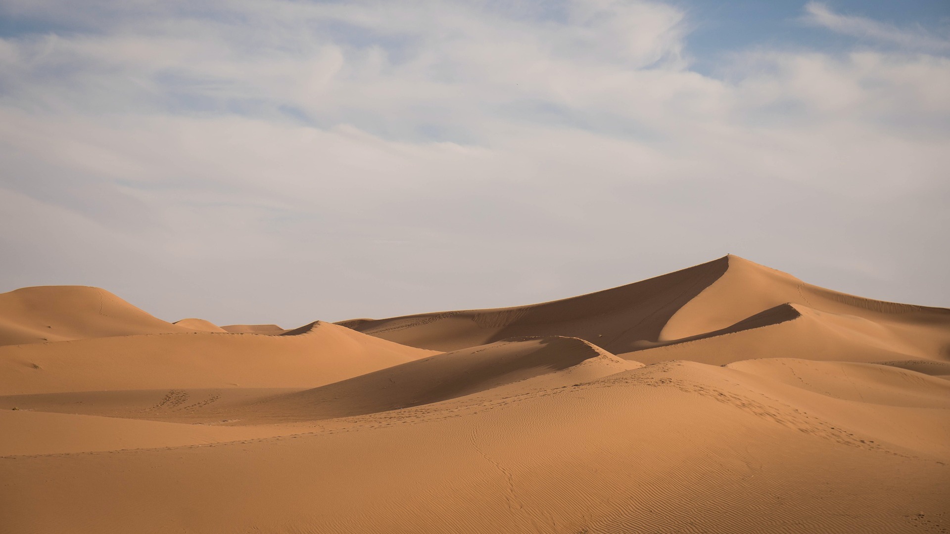Szahara sivatag