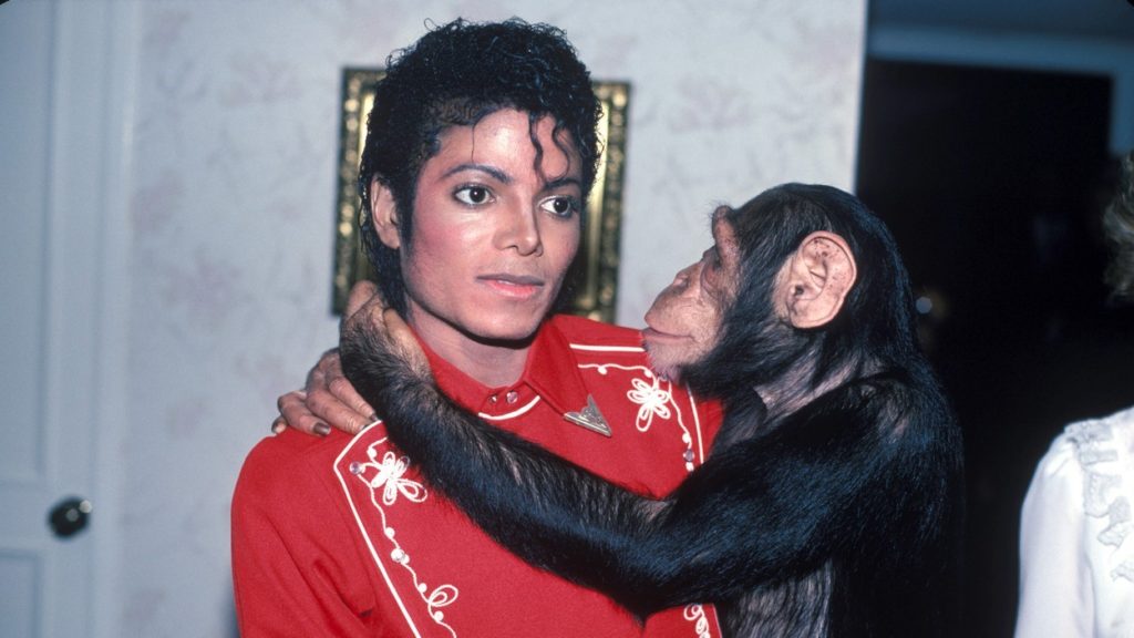 Michael Jackson és Bubbles 1984-ben. 