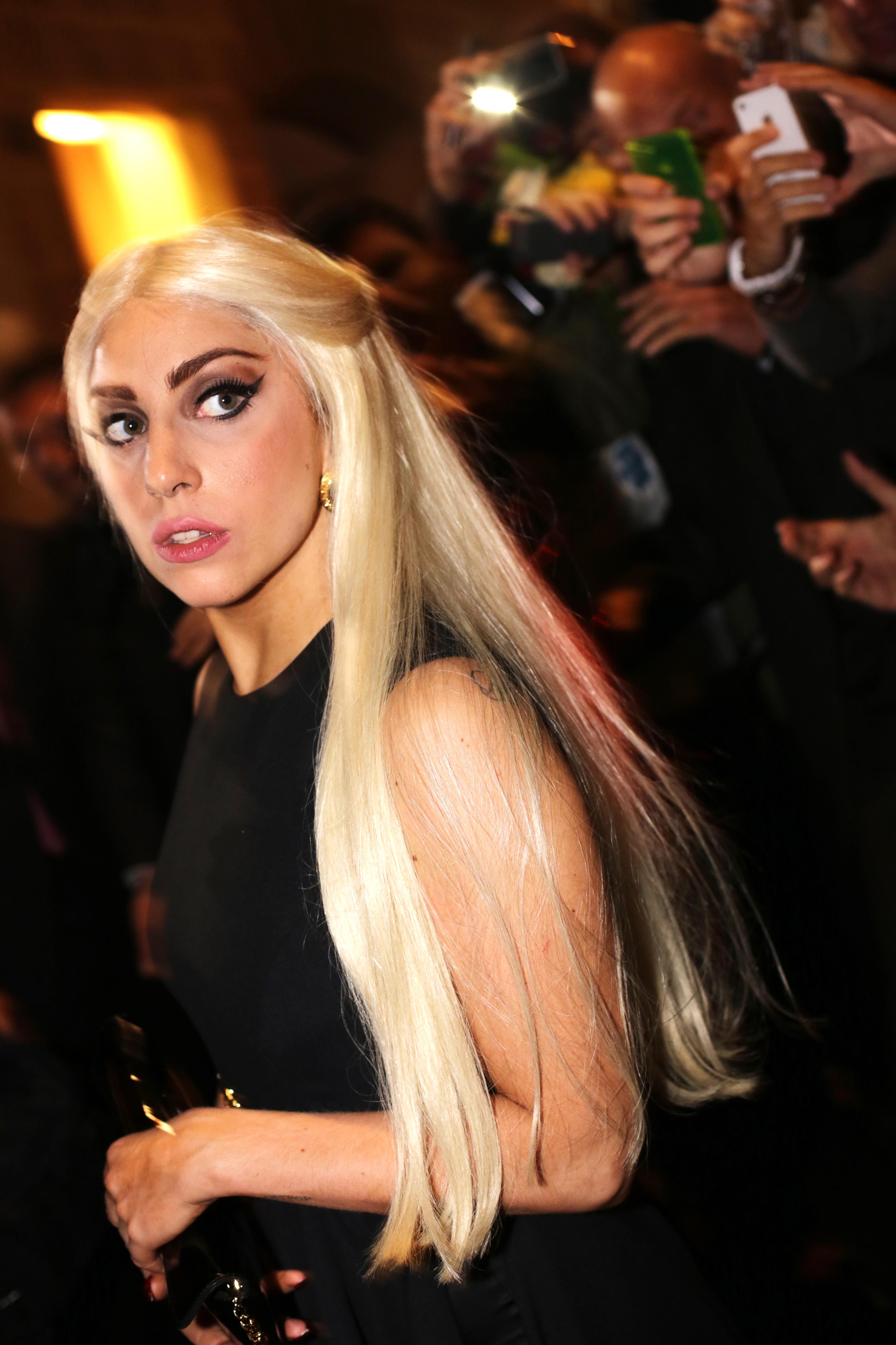 Ilyen volt Lady Gaga 2014-ben