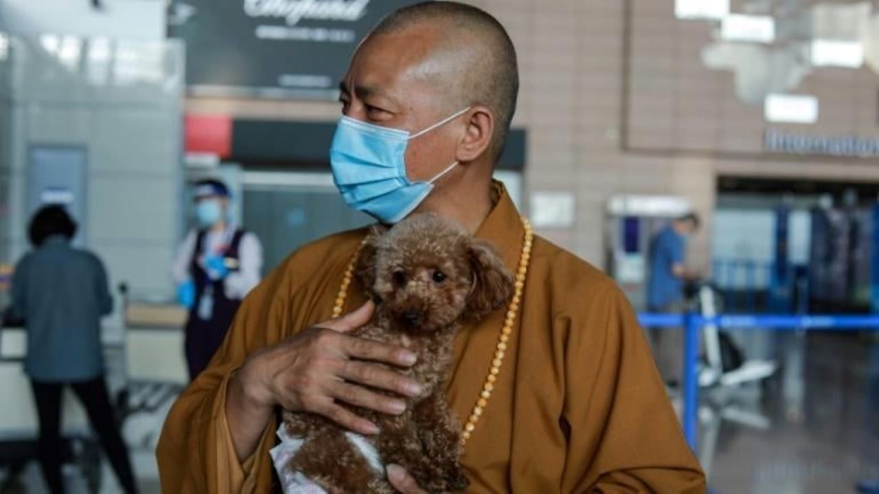 buddhista szerzetes, kutyabarát