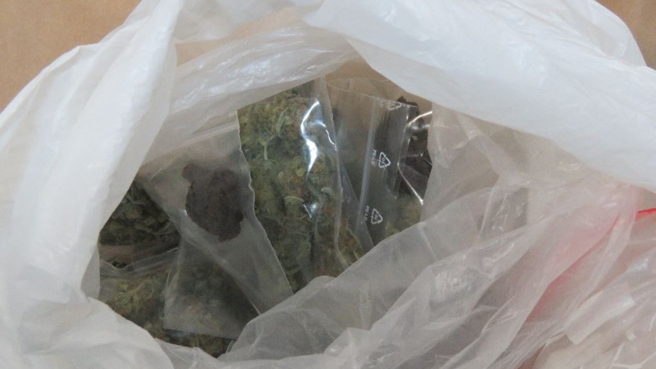A lefoglalt kábítószergyanús növényi származék (fotó: police.hu)