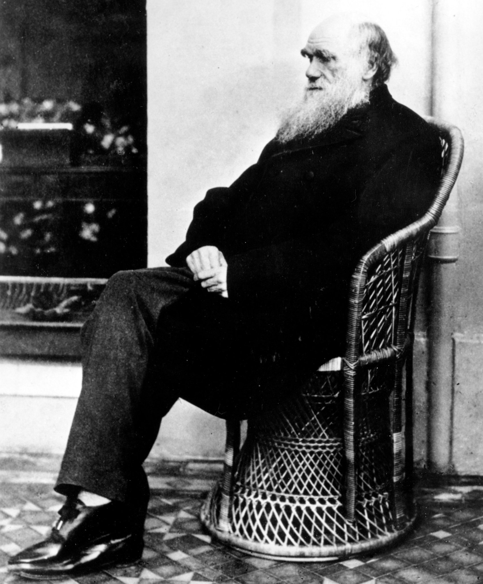 Charles Darwin egy fonott széken (fotó: Wikipedia)