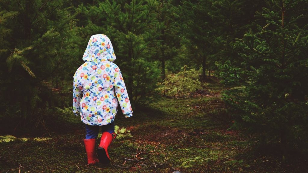 Kislány az erdőben.