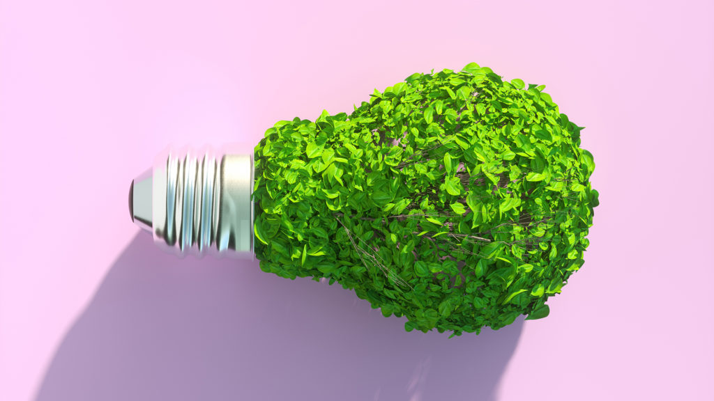 Világító növények válthatják a városi lámpaoszlopokat