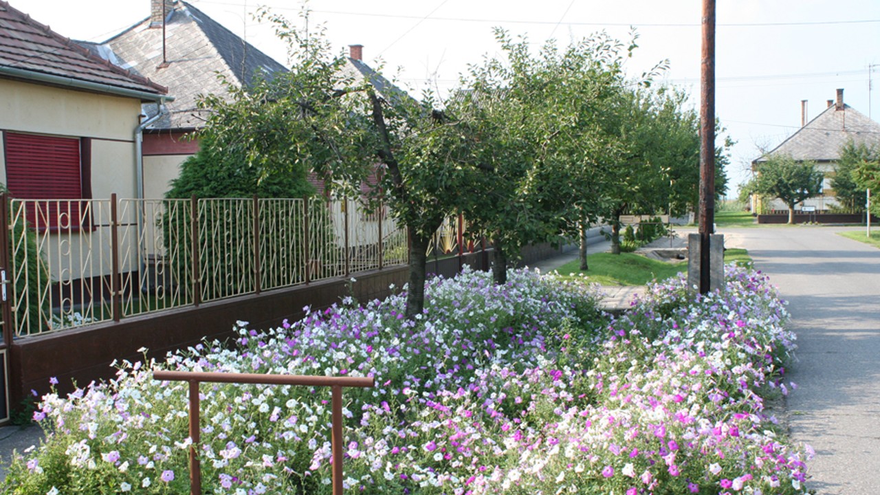 Utcakép Dusnokon (fotó: Dusnok község honlapja)