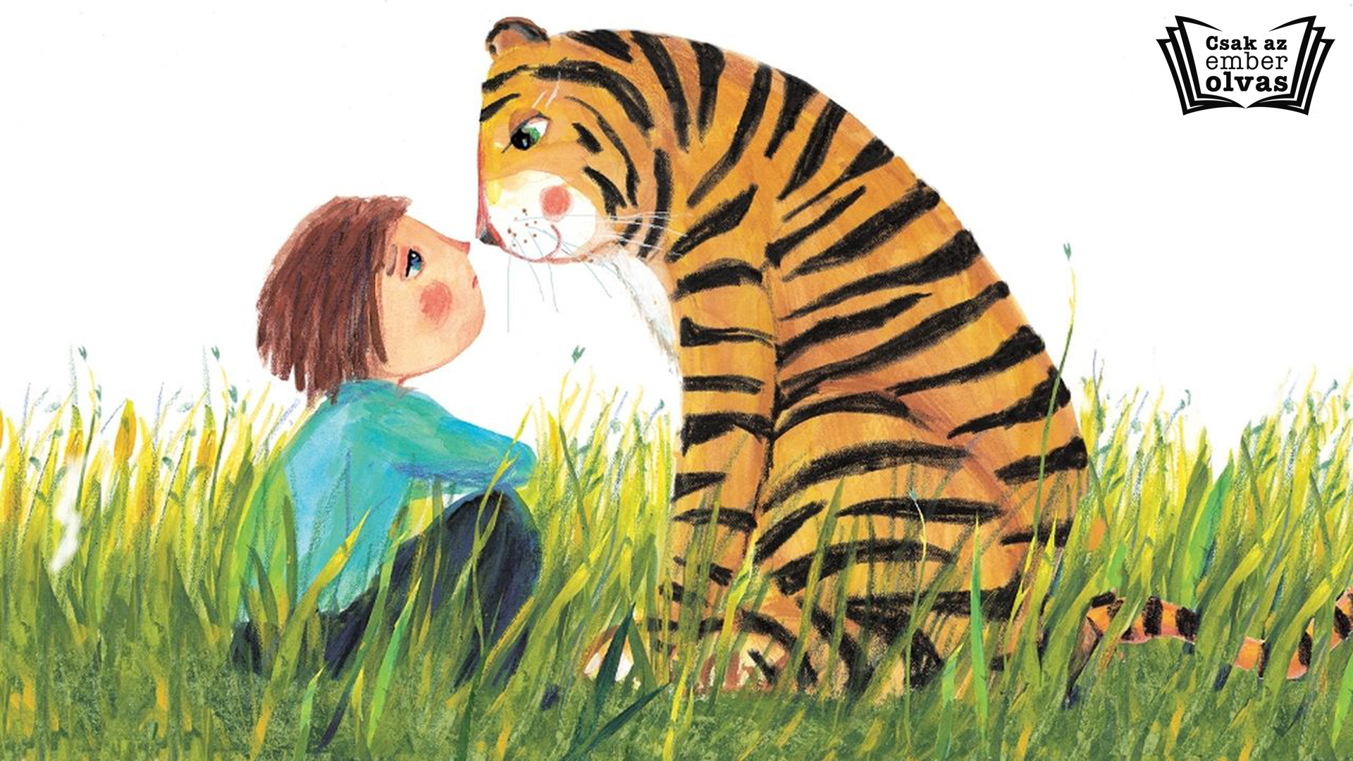 Matyi tigrissel álmodik: a mesekönyv, ami belelát a gyerek fejébe