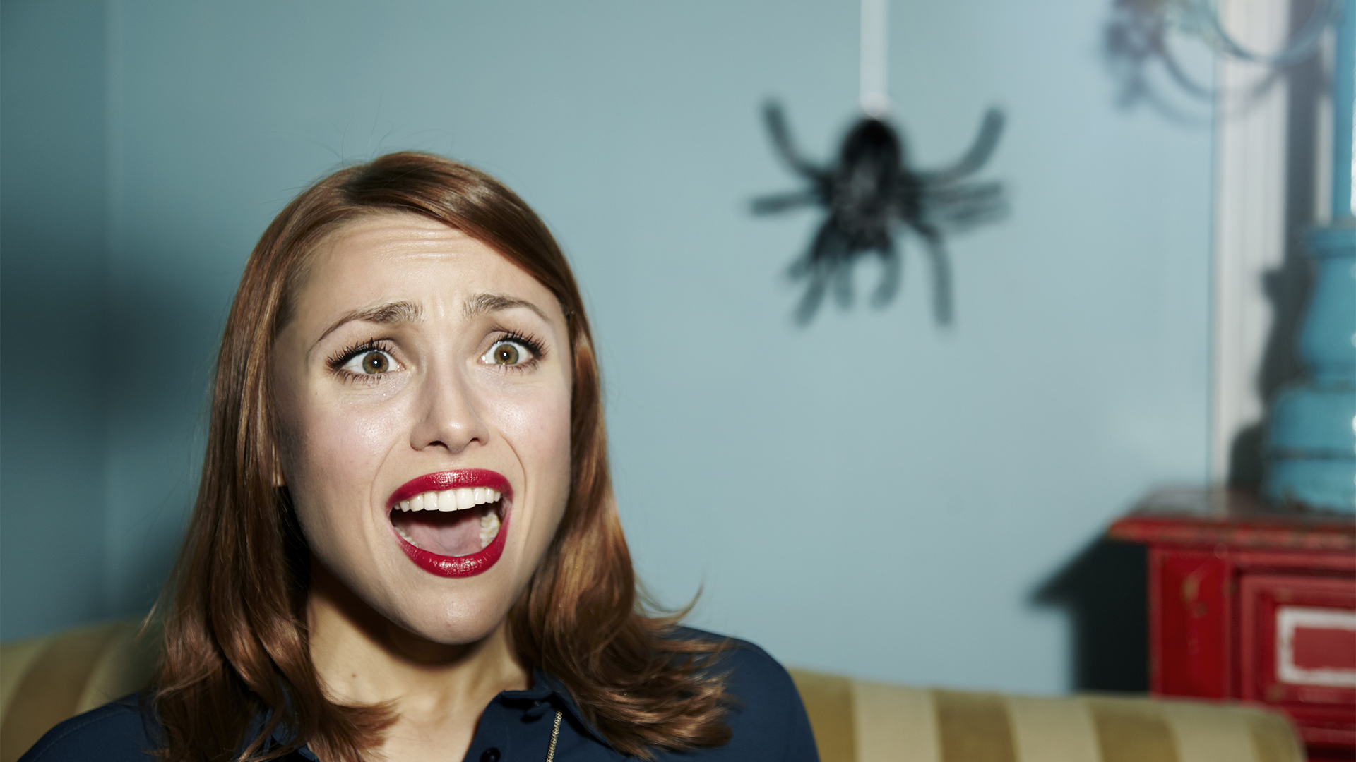 Jókora tarantula pók okozott riadalmat