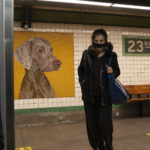 Vizslák a New York-i metró aluljárójában