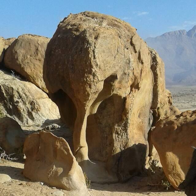 A nagy fejű, namíbiai elefánt (fotó: Brandberg Elephant Rock Camp Facebook)