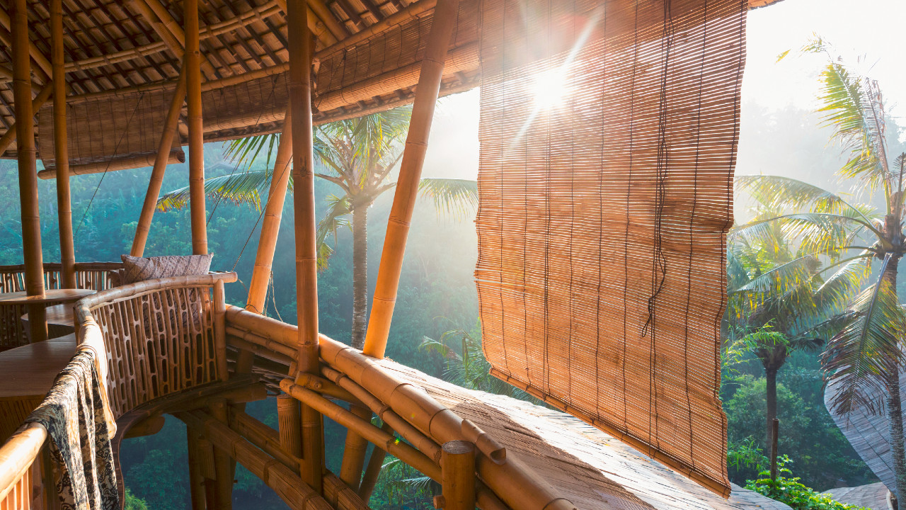 bambusz ház
