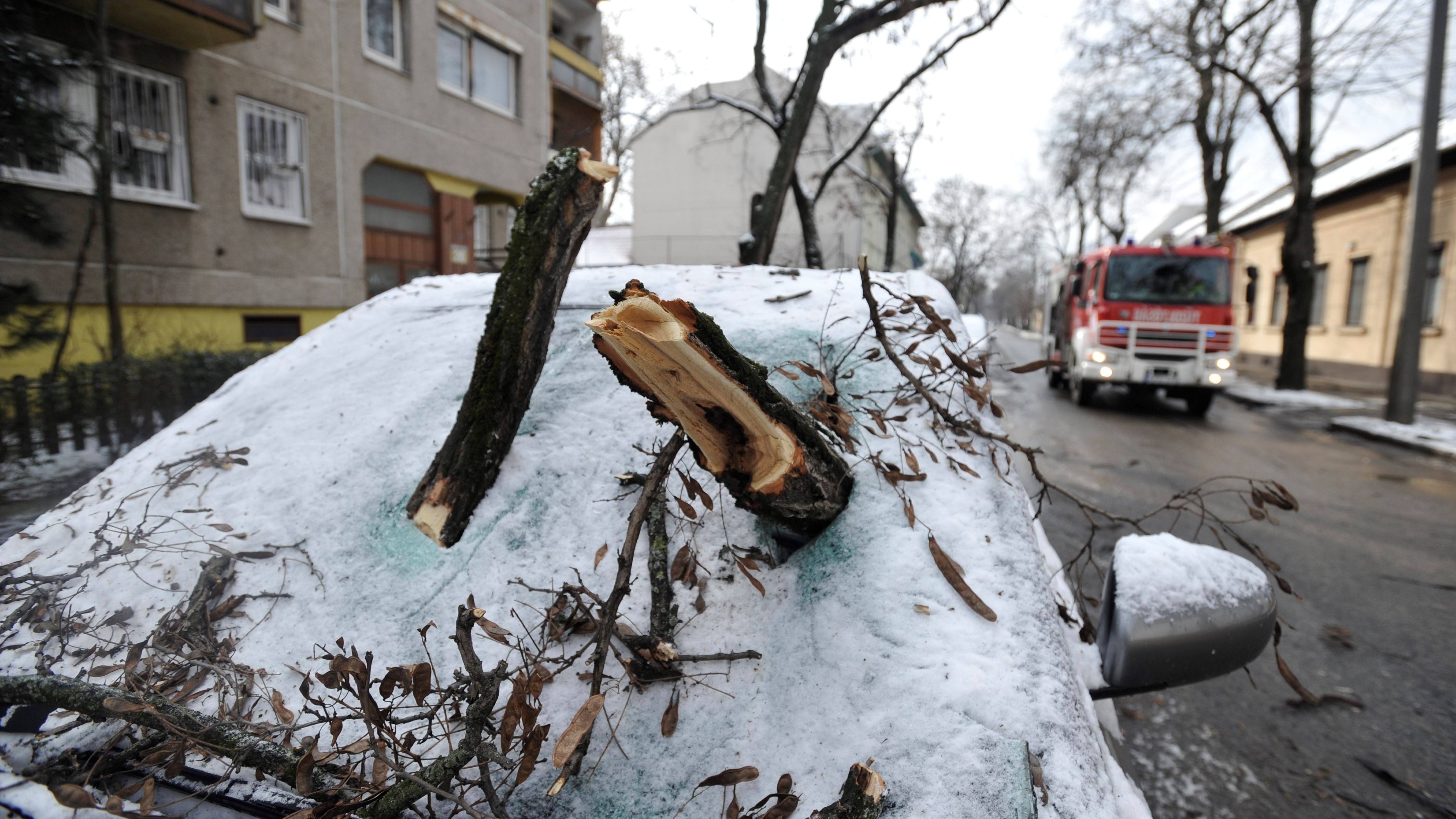 A szélviharban letört, egy autó szélvédőjébe fúródott faágak Budapesten a Kisfaludy utcában 2021. február 11-én. A viharos szél, illetve hófúvás miatt sokfelé továbbra is első- és másodfokú riasztás van érvényben az országban. (fotó: MTI/Mihádák Zoltán)