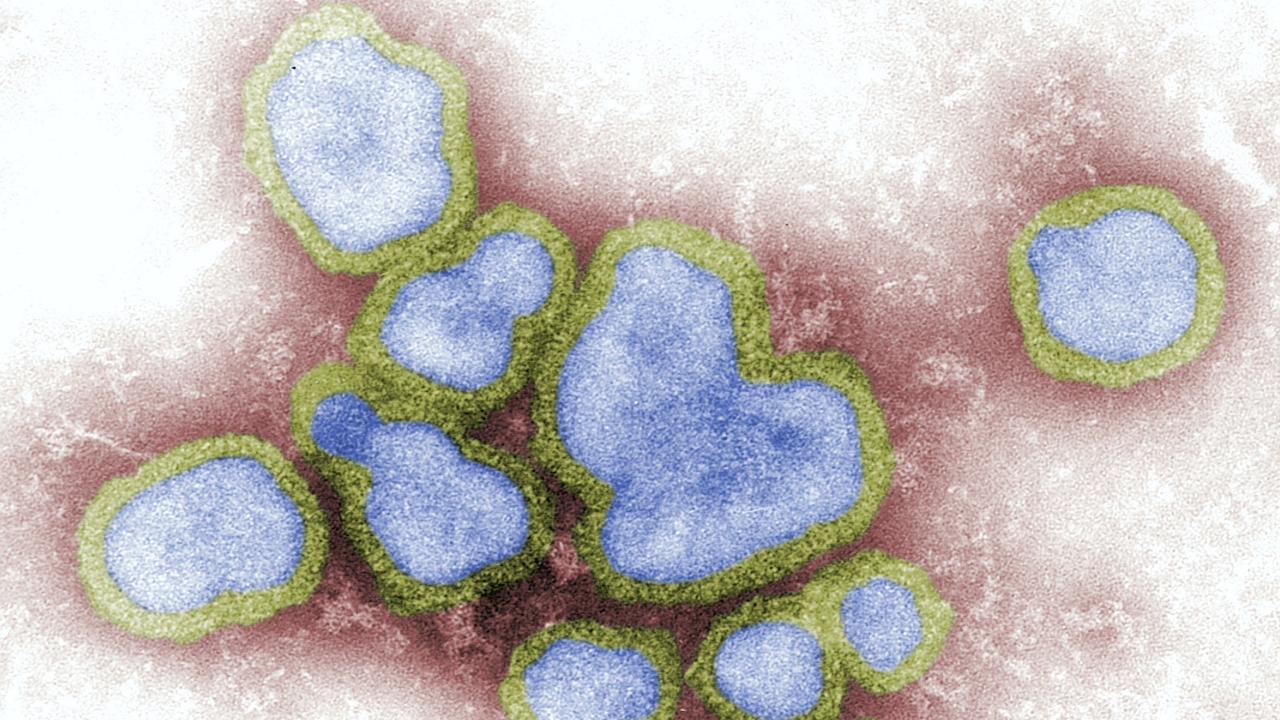 Influenza A vírus