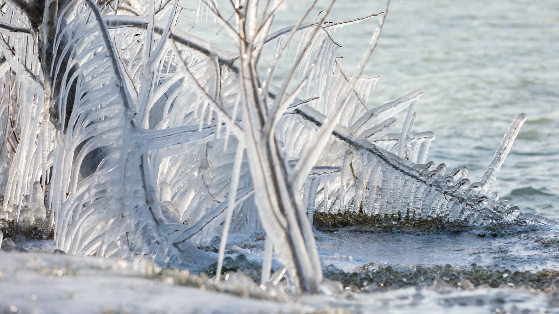Jeges formák a Balaton partján