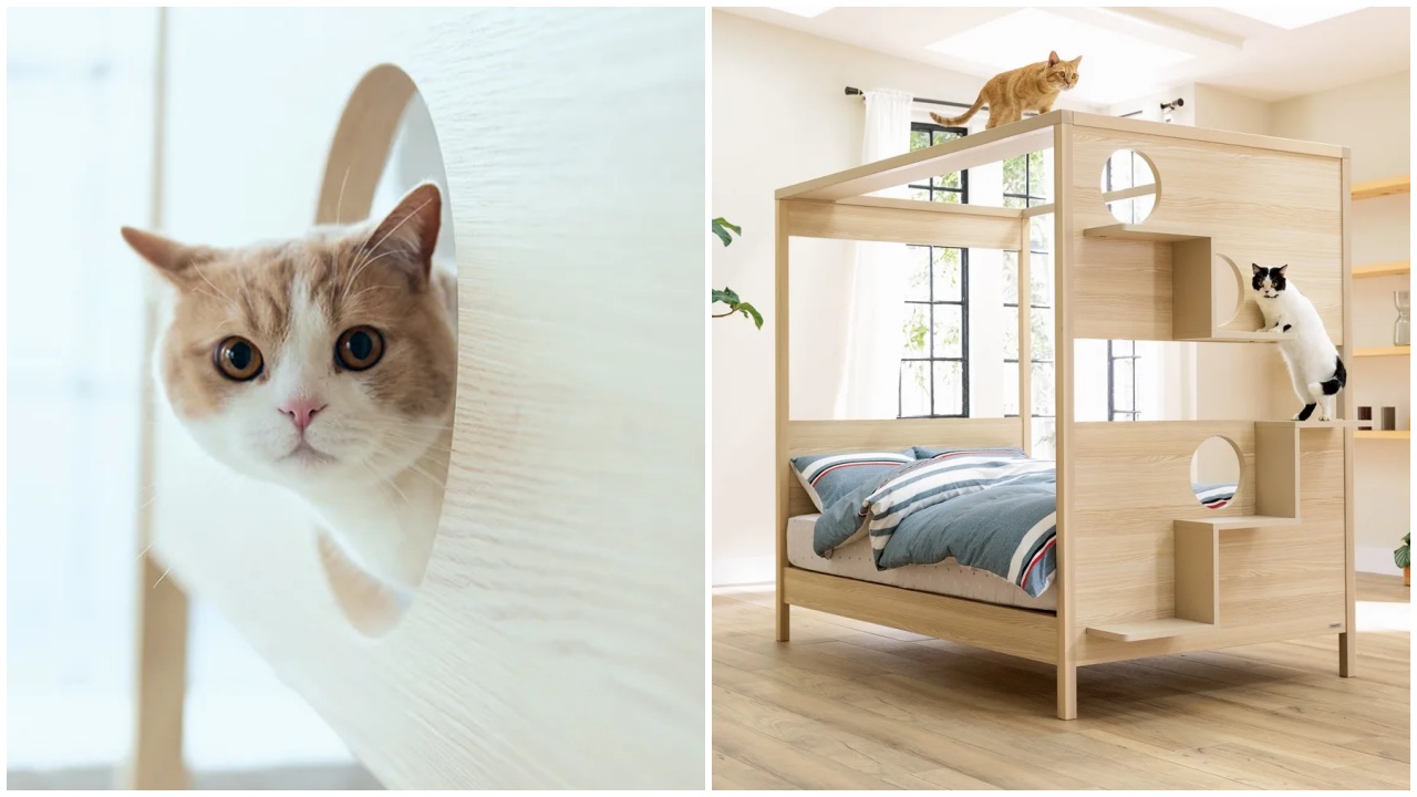 Ágyba épített macskatorony