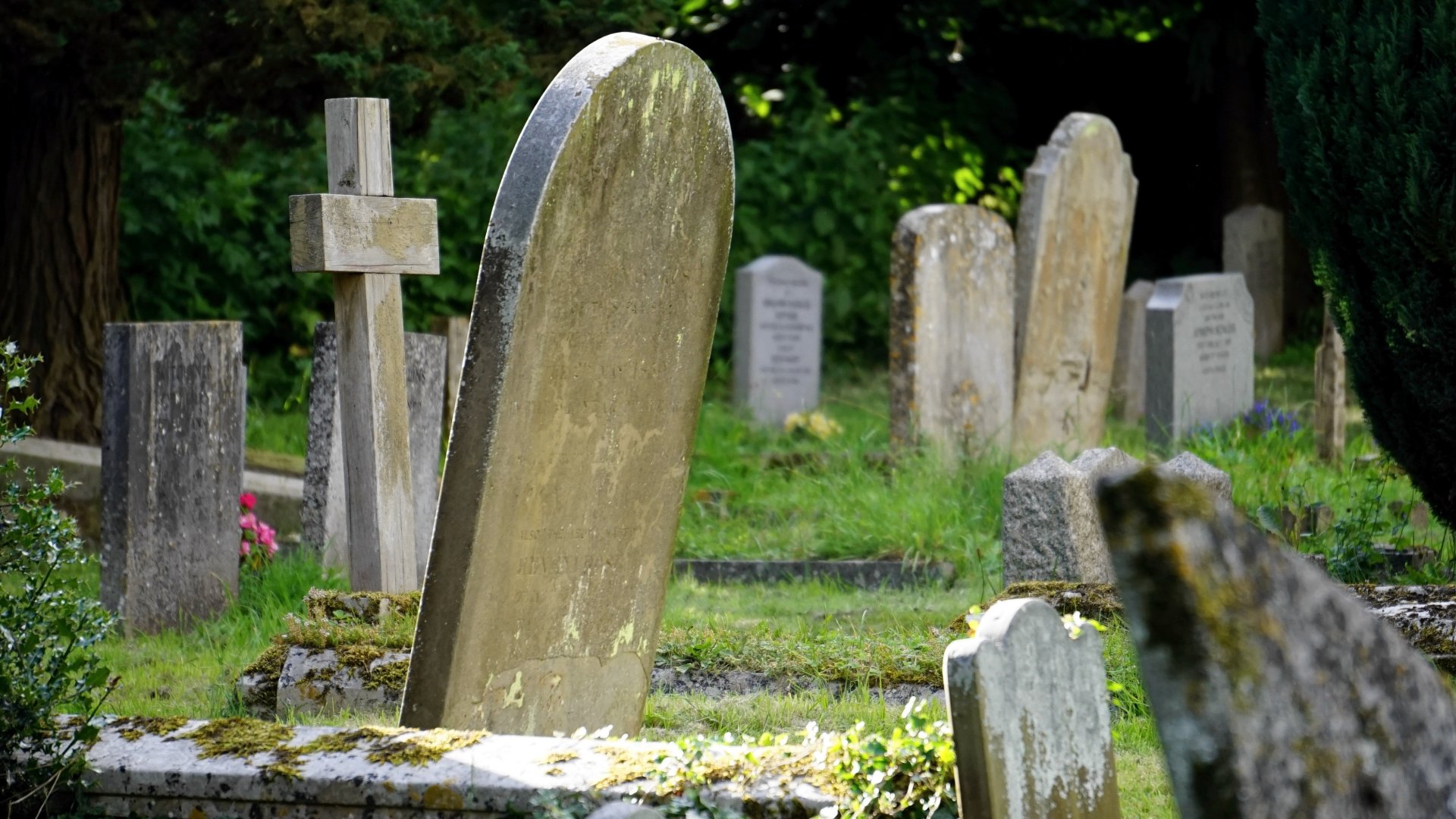 Sírhelyek egy temetőben