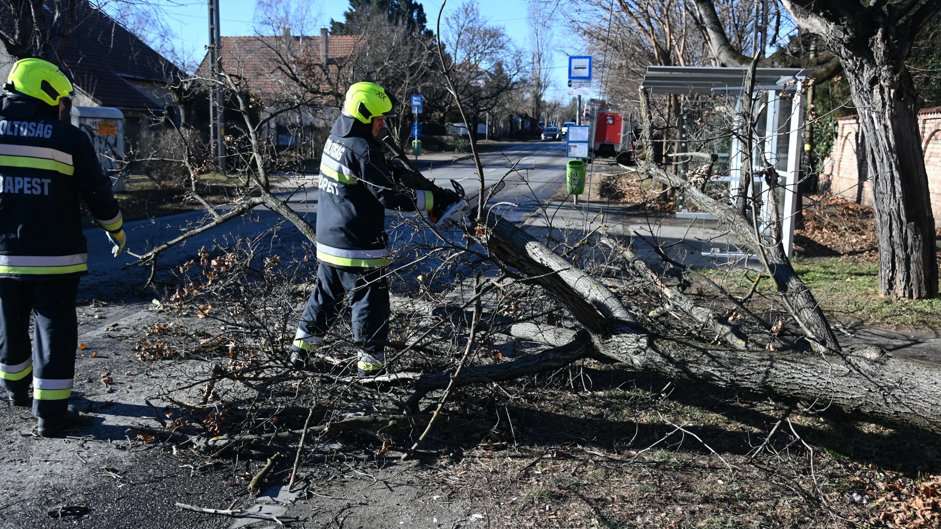 A viharos szél által kidöntött fát aprítanak a tűzoltók
