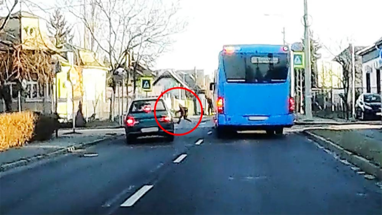 Az autó elé hajtott a buszsofőr, hogy megvédje a zebrán átkelő kislány