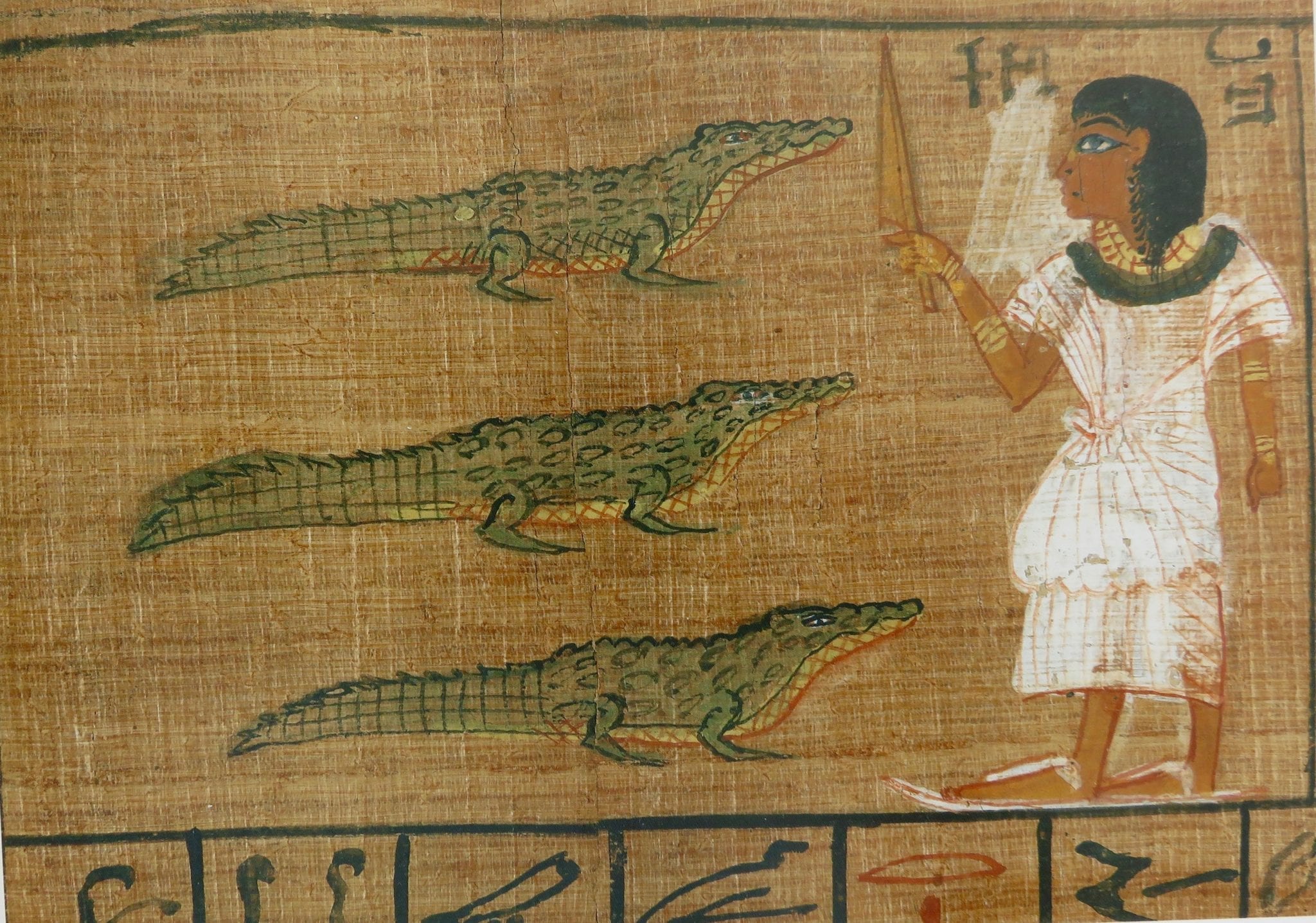 Ókori egyiptomi krokodilok (forrás: Wikipedia)