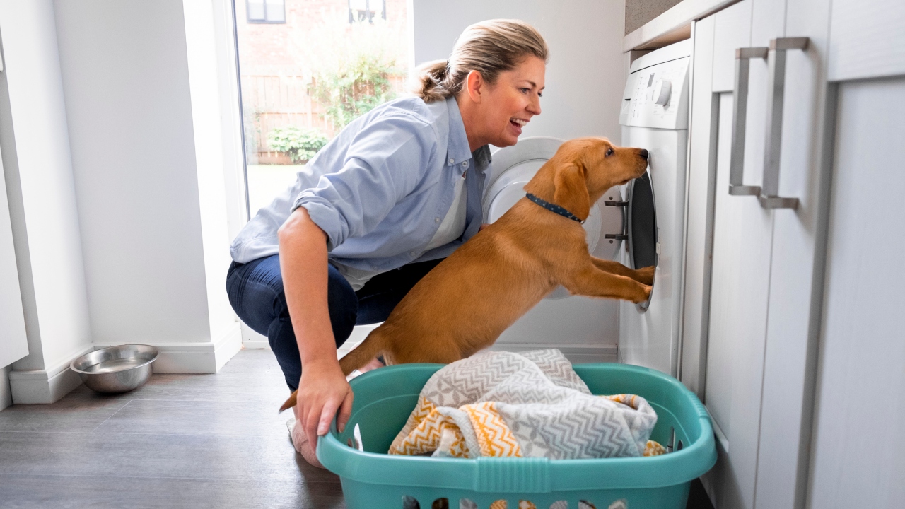 Nő kutyával és mosógéppel
