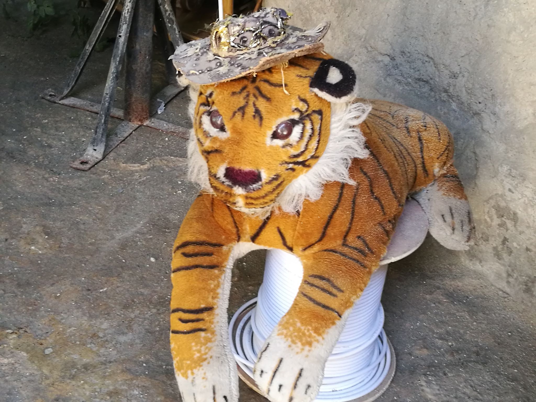Néprajzi múzeum gyűjtés kampány tigris