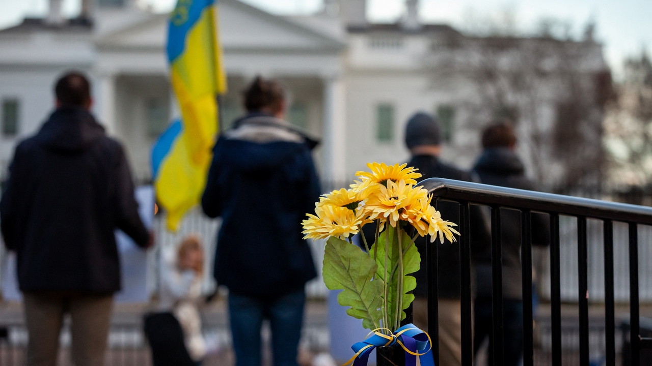 napraforgó és ukrán zászló