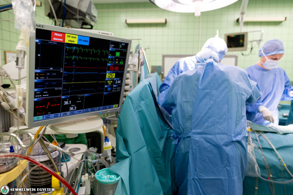 szervátültetés transzplantáció szívátültetés