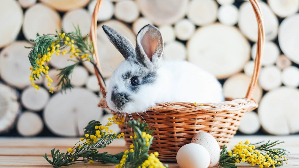 Így állnak a húsvéthoz az egyes csillagjegyek