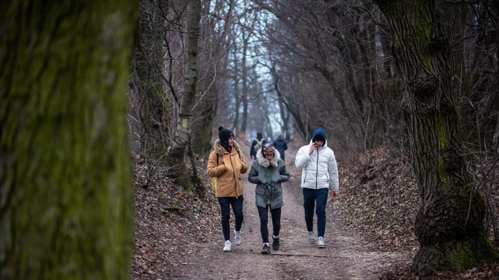 Hamarosan sokkal több erdő lesz Budapesten