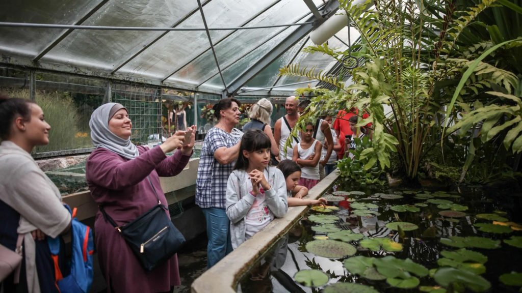 Bűnjelek, elnöki orchideák és túlélők egy másik világból – ilyen az az ELTE Füvészkert a kulisszák mögött