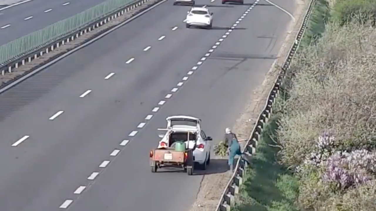 Egy sofőr átlépi az M1-es autópálya korlátját, miután orgonát szedett az út mellett