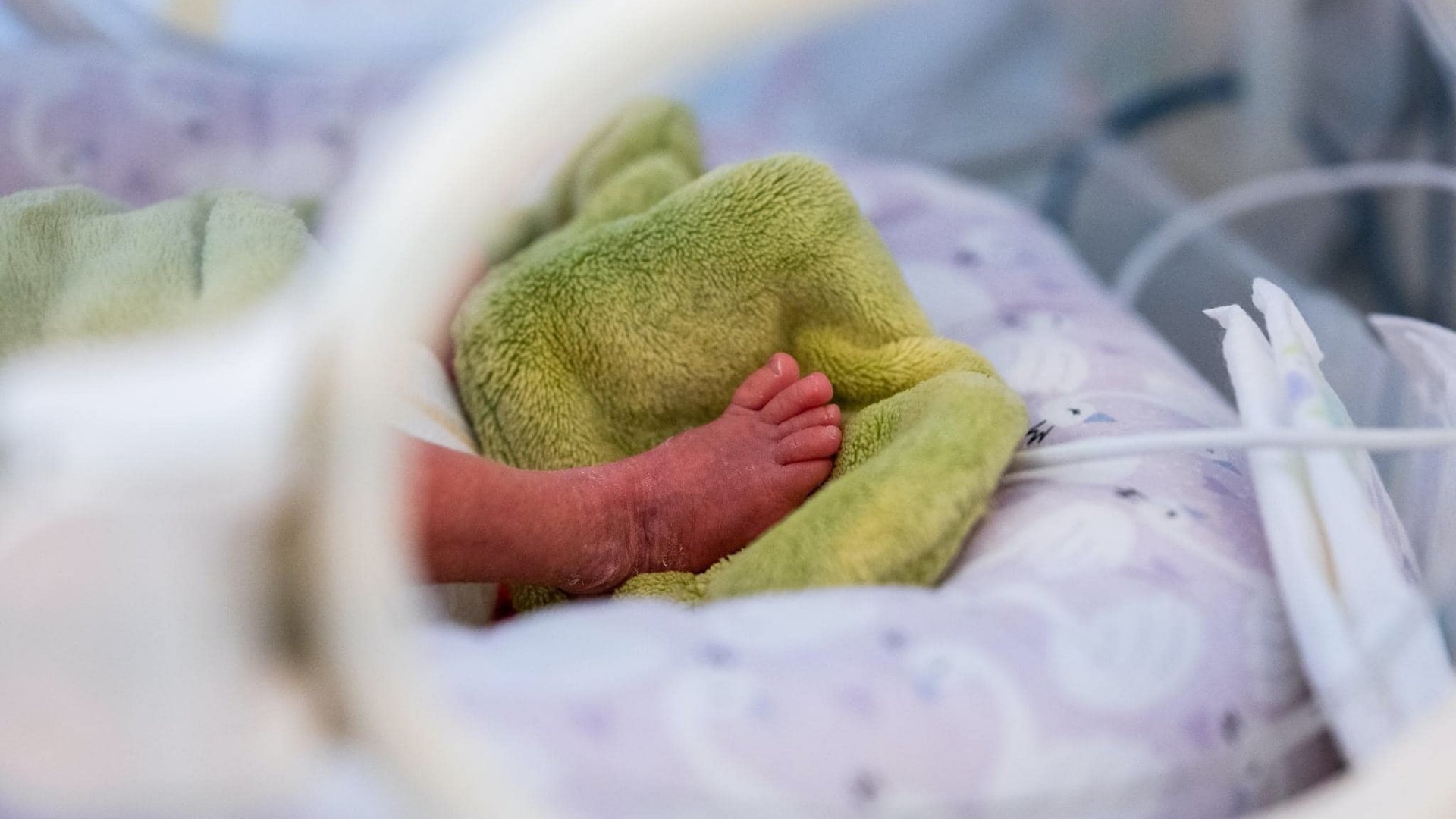Egy koraszülött baba lába egy inkubátorban
