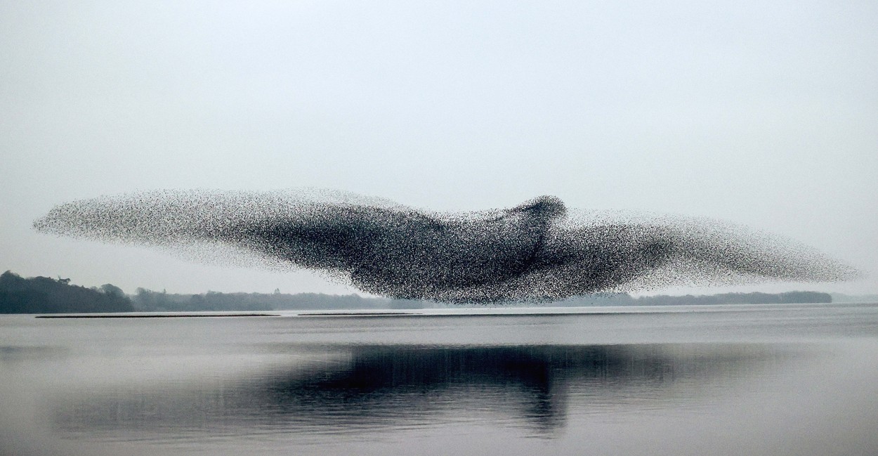 A murmuration of starlings over Lough Ennell in County Westmeath, Ireland. By James Crombie. IRELAND: UNBELIEVABLE pictures of both the natural world and man-made structures have been named as the shortlisted photos in this year’s open competition of the Sony World Photography Awards. One of the landscape category photos, Outburst by Luis Manuel Vilarińo Lopez from Spain, shows Iceland’s youngest volcano, Geldingalir, with lava flowing down its sides towards the camera. Another photo, Murmuration by James Crombie, shows a flock of starlings over Lough Ennell in Ireland, forming the shape of a large bird in flight. The photos have been shortlisted in the open competition of the Sony World Photography Awards 2022, run by the World Photography Organisation and judged by Hideko Kataoka, Director of Photography at Newsweek Japan. mediadrumimages/JamesCrombie,Image: 670956088, License: Rights-managed, Restrictions: , Model Release: no, Credit line: Profimedia