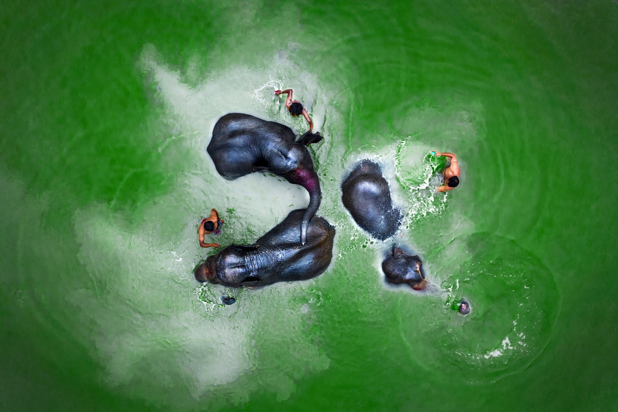 A group of elephants relax, and lie down in a murky river as locals bathe alongside them, which creates a cloud effect in the murky water. The animals, part of a circus, are cleaned twice a week in the shallow waters of the Karatoa stream in Bangladesh. By Sujon Adikary. BANGLADESH: UNBELIEVABLE pictures of both the natural world and man-made structures have been named as the shortlisted photos in this year’s open competition of the Sony World Photography Awards. One of the landscape category photos, Outburst by Luis Manuel Vilarińo Lopez from Spain, shows Iceland’s youngest volcano, Geldingalir, with lava flowing down its sides towards the camera. Another photo, Murmuration by James Crombie, shows a flock of starlings over Lough Ennell in Ireland, forming the shape of a large bird in flight. The photos have been shortlisted in the open competition of the Sony World Photography Awards 2022, run by the World Photography Organisation and judged by Hideko Kataoka, Director of Photography at Newsweek Japan. mediadrumimages/SujonAdikary,Image: 670956096, License: Rights-managed, Restrictions: , Model Release: no, Credit line: Profimedia