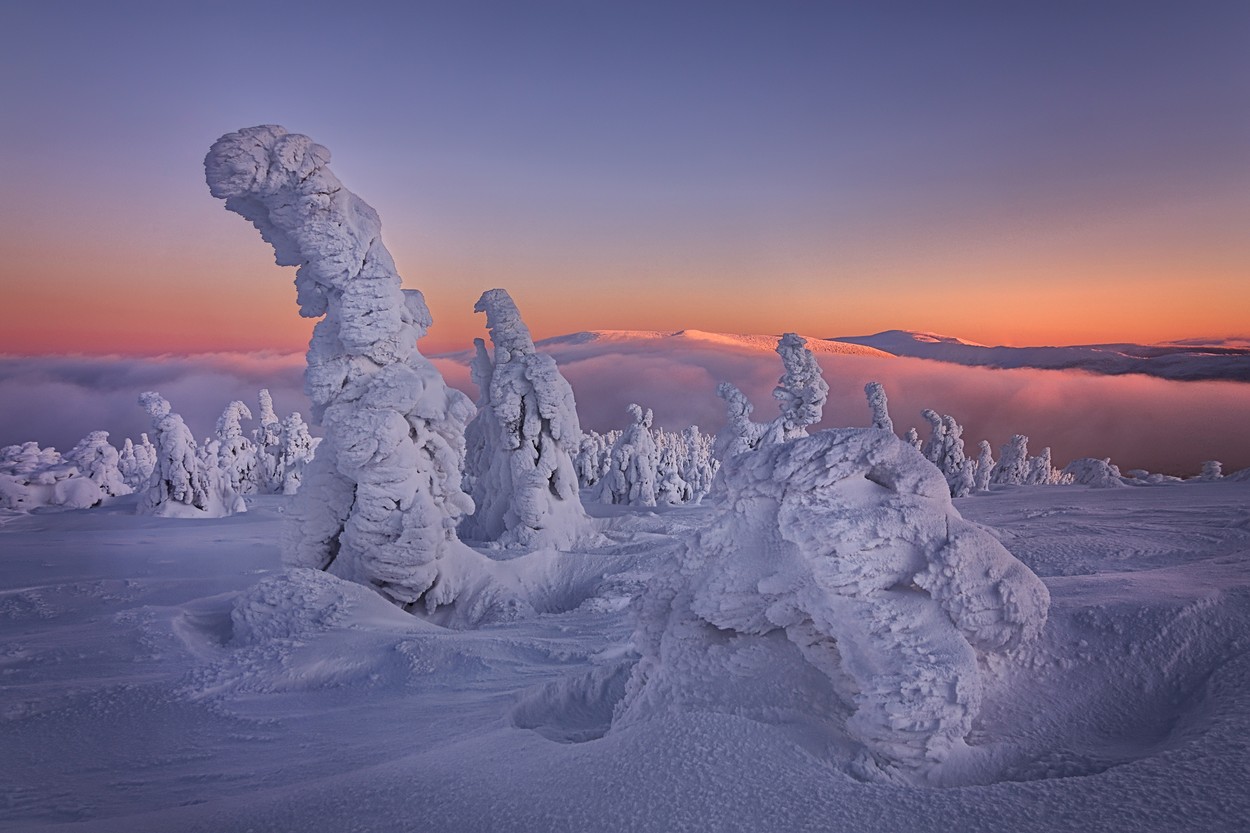 A winter sunset in Krkonoše National Park. By Martin Morvek. UNBELIEVABLE pictures of both the natural world and man-made structures have been named as the shortlisted photos in this year’s open competition of the Sony World Photography Awards. One of the landscape category photos, Outburst by Luis Manuel Vilarińo Lopez from Spain, shows Iceland’s youngest volcano, Geldingalir, with lava flowing down its sides towards the camera. Another photo, Murmuration by James Crombie, shows a flock of starlings over Lough Ennell in Ireland, forming the shape of a large bird in flight. The photos have been shortlisted in the open competition of the Sony World Photography Awards 2022, run by the World Photography Organisation and judged by Hideko Kataoka, Director of Photography at Newsweek Japan. mediadrumimages/MartinMorvek,Image: 670956135, License: Rights-managed, Restrictions: , Model Release: no, Credit line: Profimedia
