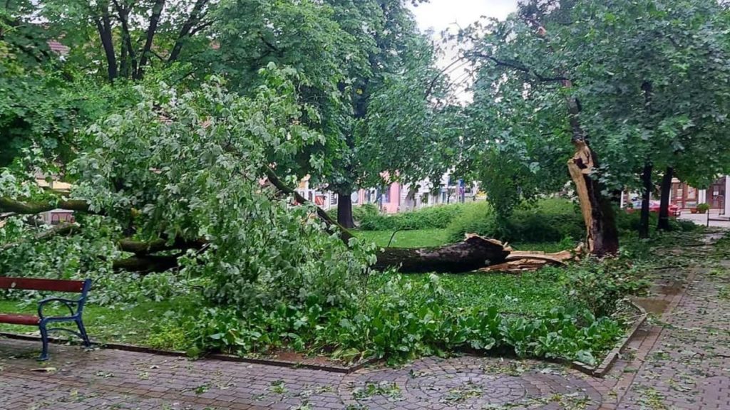 Diónyi jégdarabok, fákat kicsavaró szél: hatalmas vihar tombolt Somogy megyében – képek