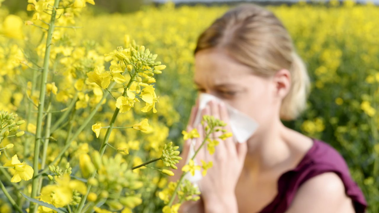 Allergiás nő orrot fúj egy virágos mezőn