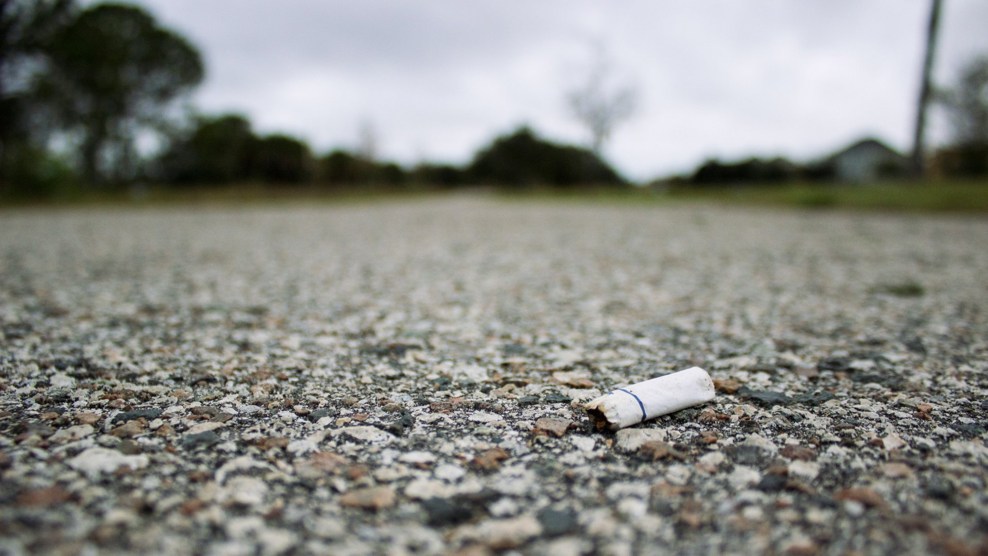 Eldobott cigarettacsikk az úton