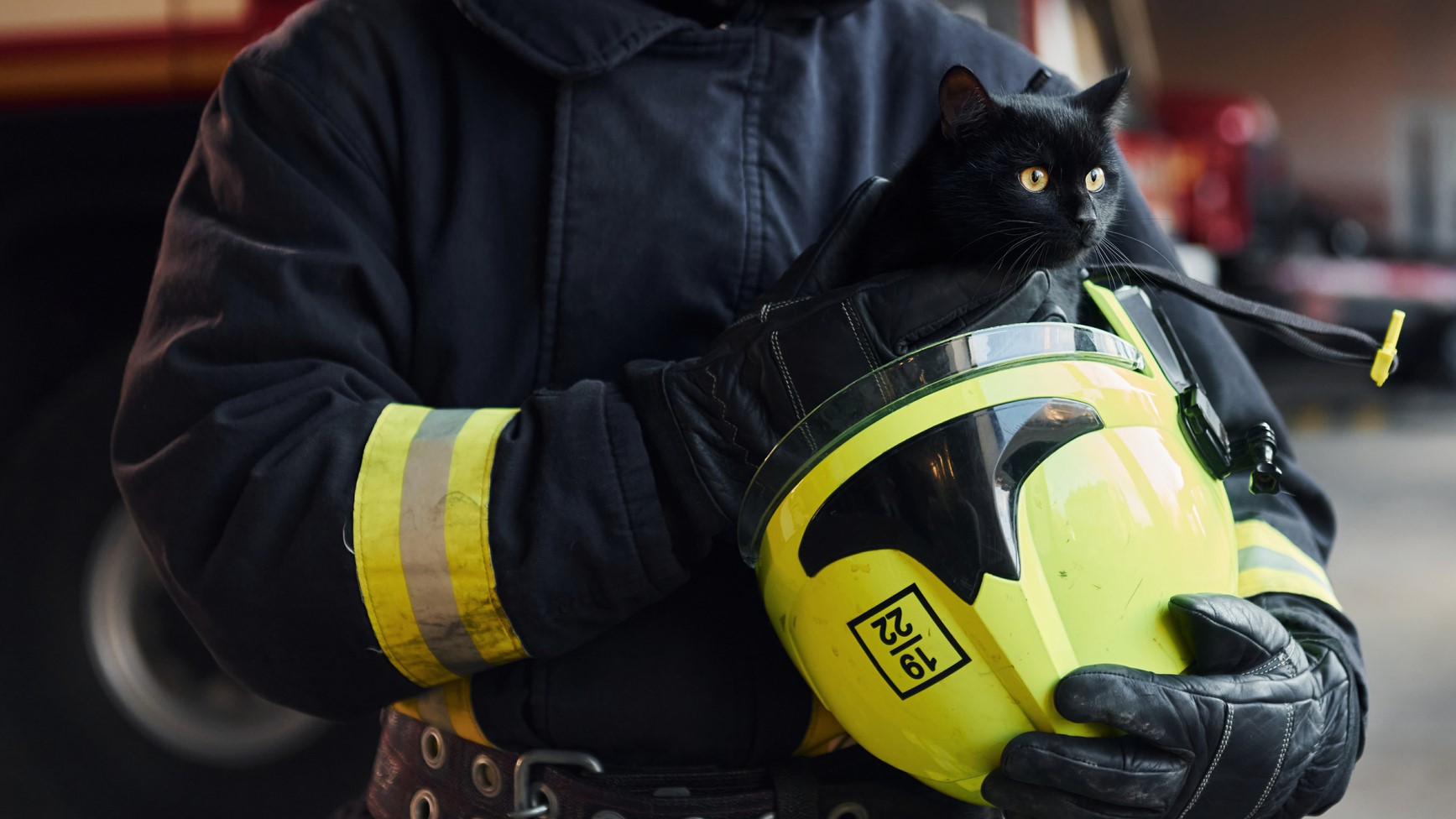 Tűzoltó egy fekete macskát fog a kezében