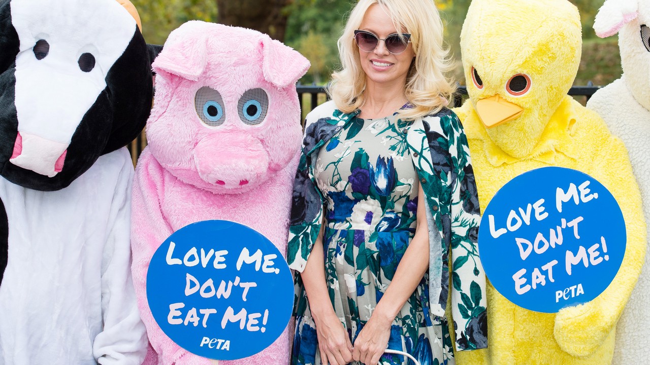 Pamela Anderson a PETA rendezvényén
