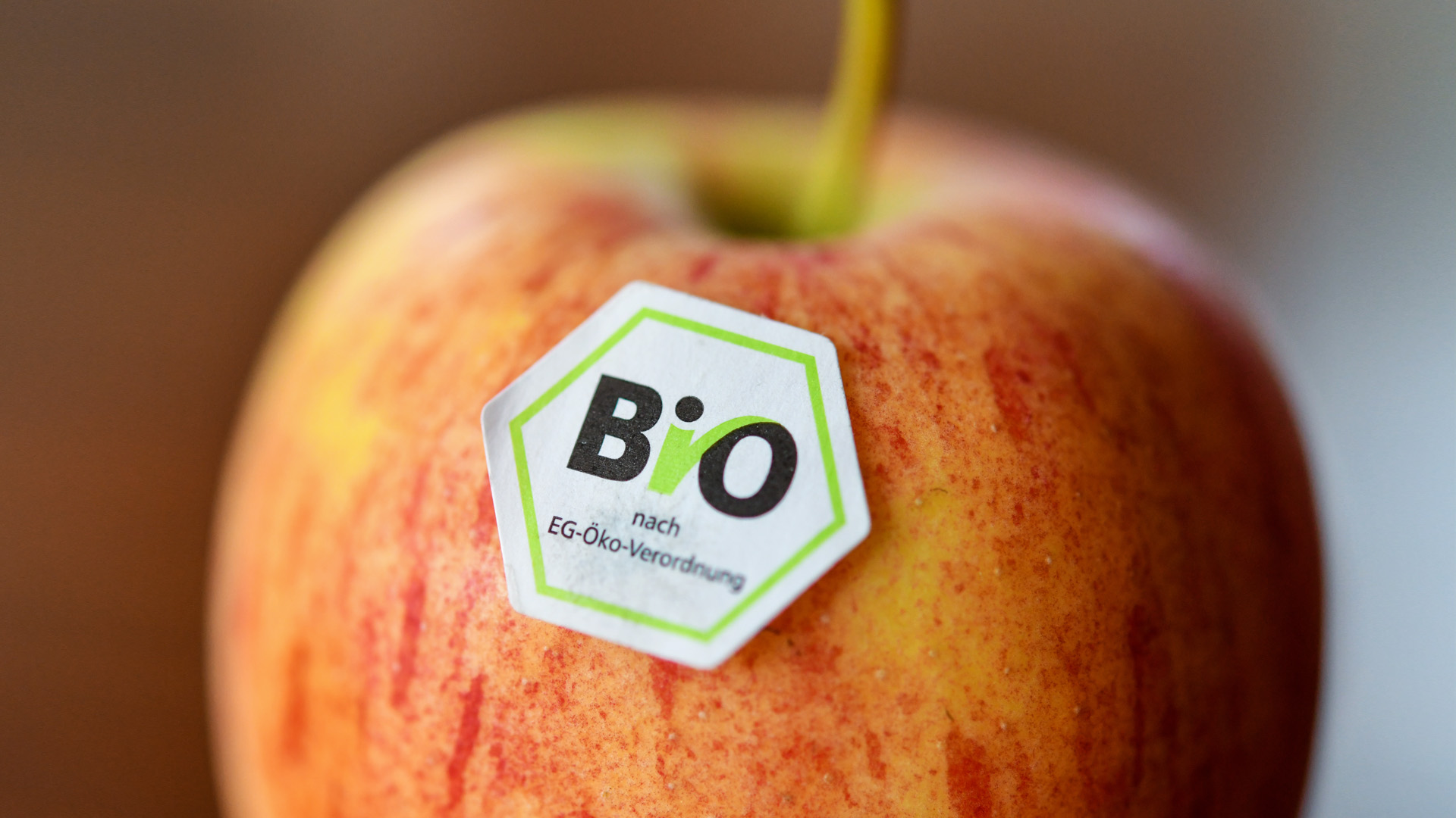 bio élelmiszer gazdaság
