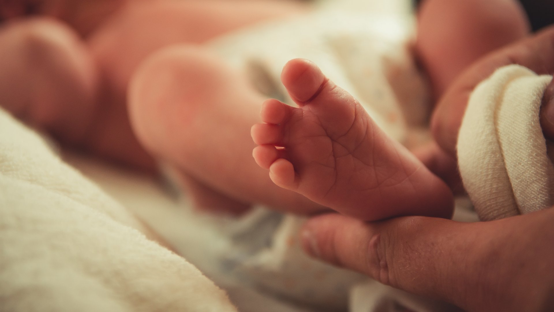 Egy újszülött baba talpát fogja egy felnőtt kéz