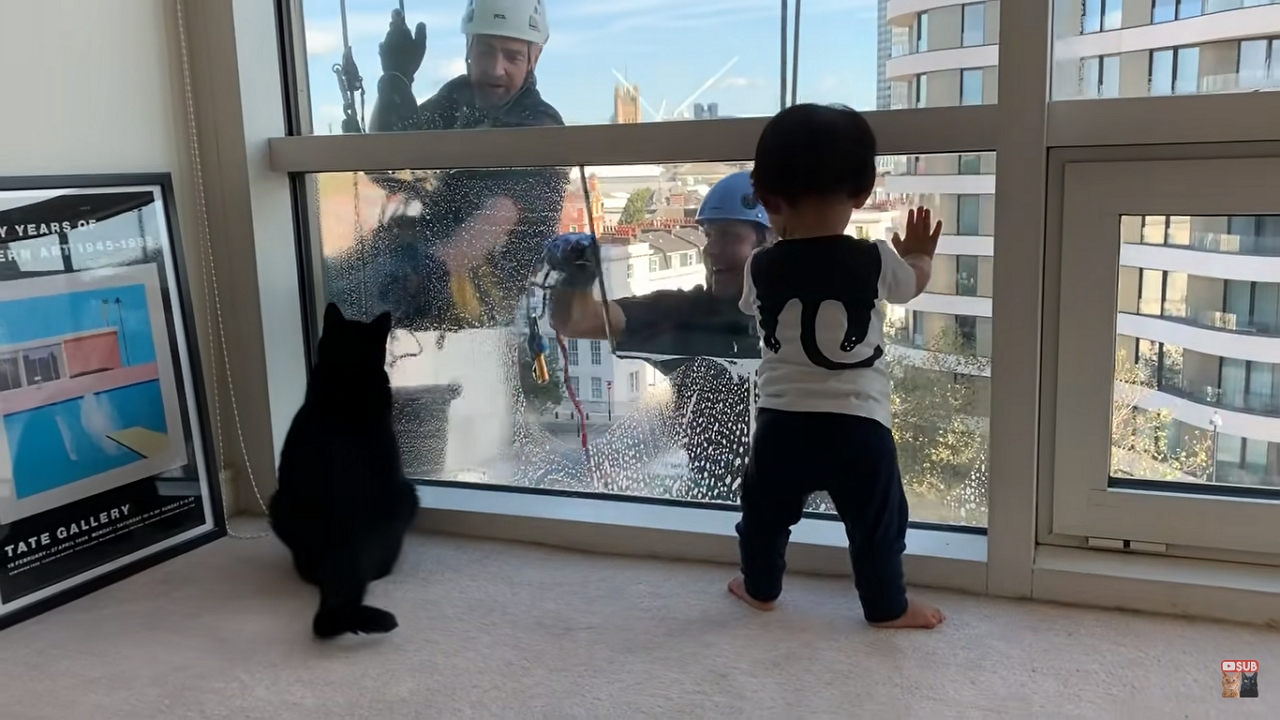 Ablaktiszítókat néző cica és baba
